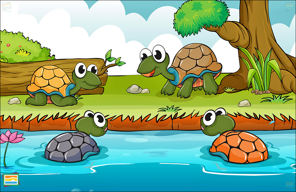 داستان کوتاه خانواده‌ی لاک‌پشت‌ها